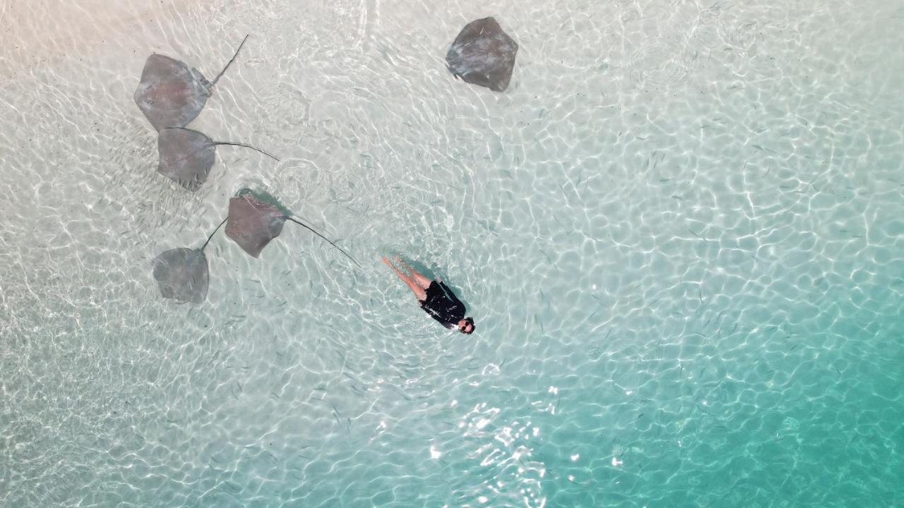 Pelican Beach Maafushi Zewnętrze zdjęcie